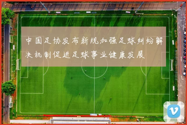 中国足协发布新规加强足球纠纷解决机制促进足球事业健康发展